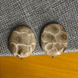 Vintage Petoskey Stone Earrings